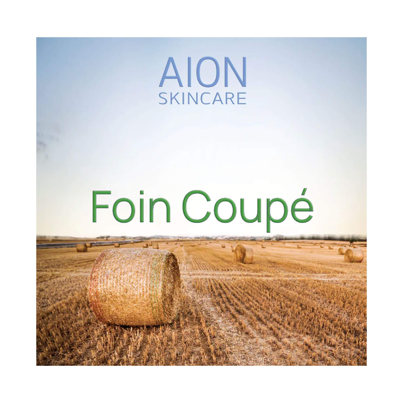 Aion Skincare Foin Coupe Aftershave Splash