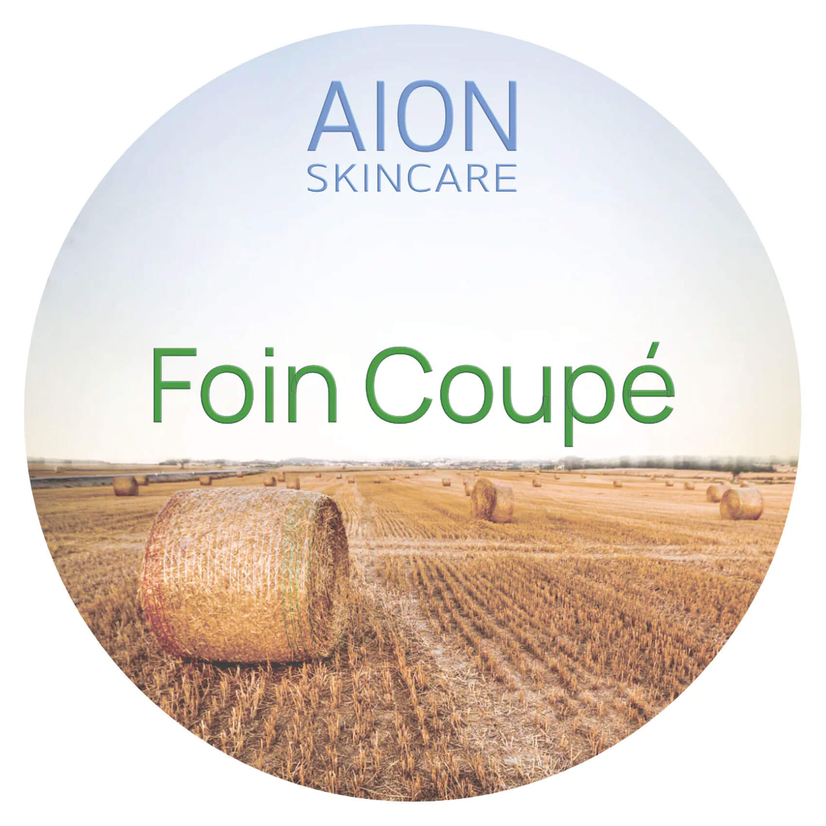 Aion Skincare Foin Coupe Shaving Soap