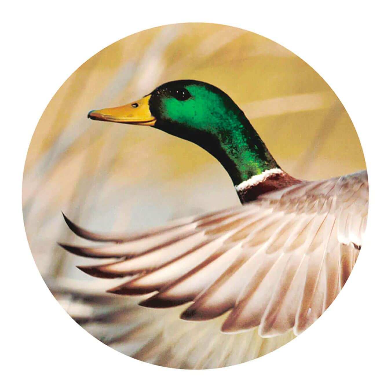 Grooming Dept Chocolate Shaving Soap