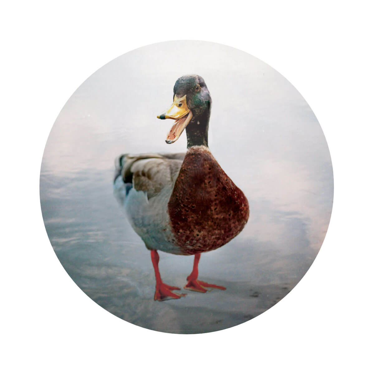 Grooming Dept Corretto Shaving Soap