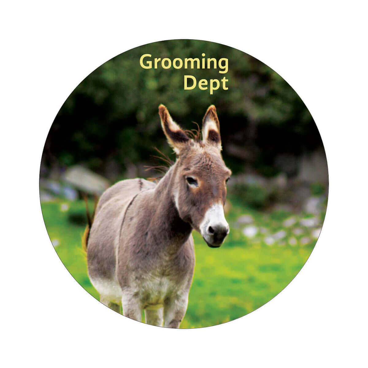 Grooming Dept Lemon Bay Shaving Soap