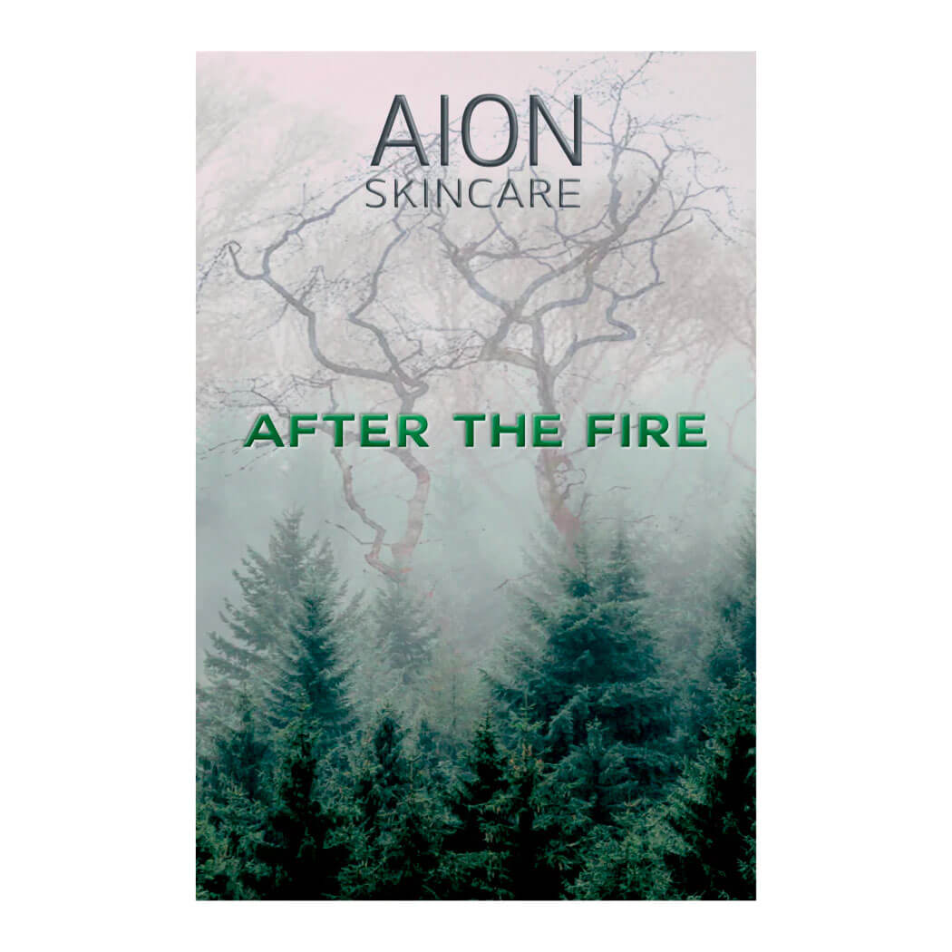 Aion Skincare After The Fire Aftershave Splash